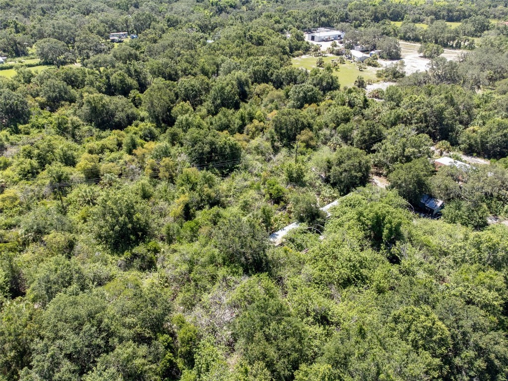 12020 Bullfrog Creek Road Gibsonton FL 33534 TB8410883 image13