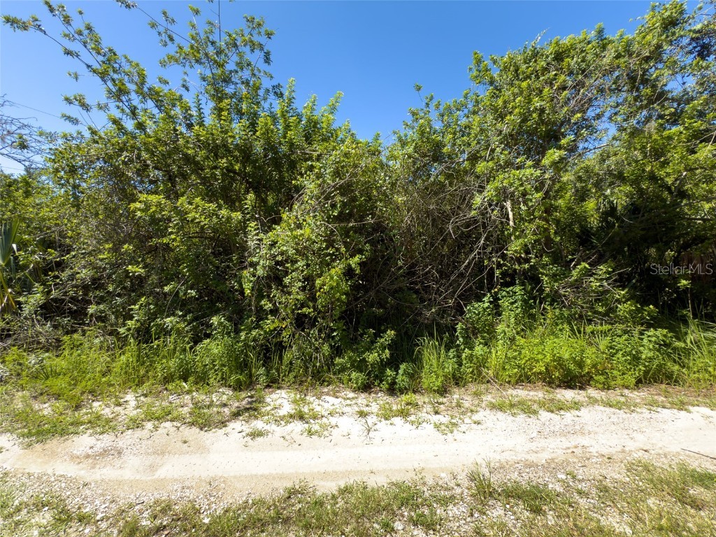 12020 Bullfrog Creek Road Gibsonton FL 33534 TB8410883 image14