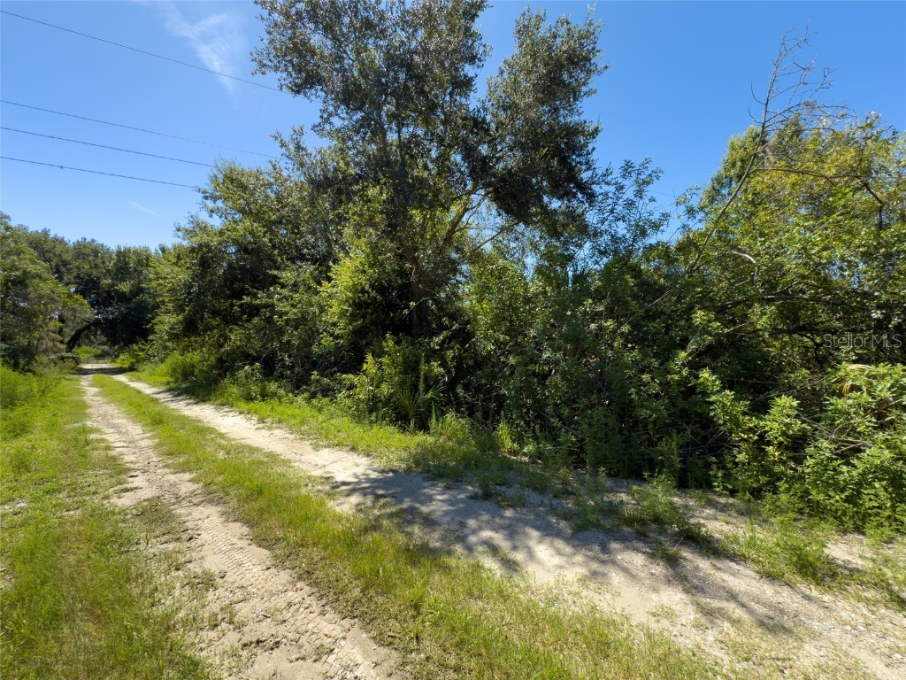 12020 Bullfrog Creek Road Gibsonton FL 33534 TB8410883 image15
