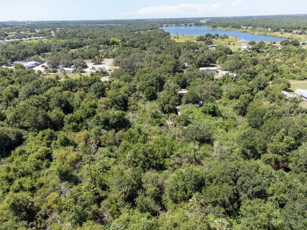 12020 Bullfrog Creek Road Gibsonton FL 33534 TB8410883 image2