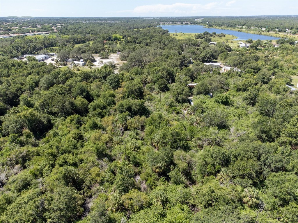 12020 Bullfrog Creek Road Gibsonton FL 33534 TB8410883 image3