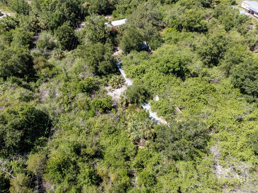12020 Bullfrog Creek Road Gibsonton FL 33534 TB8410883 image4