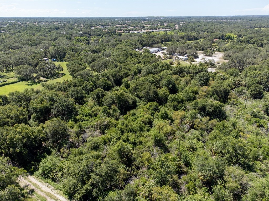 12020 Bullfrog Creek Road Gibsonton FL 33534 TB8410883 image5