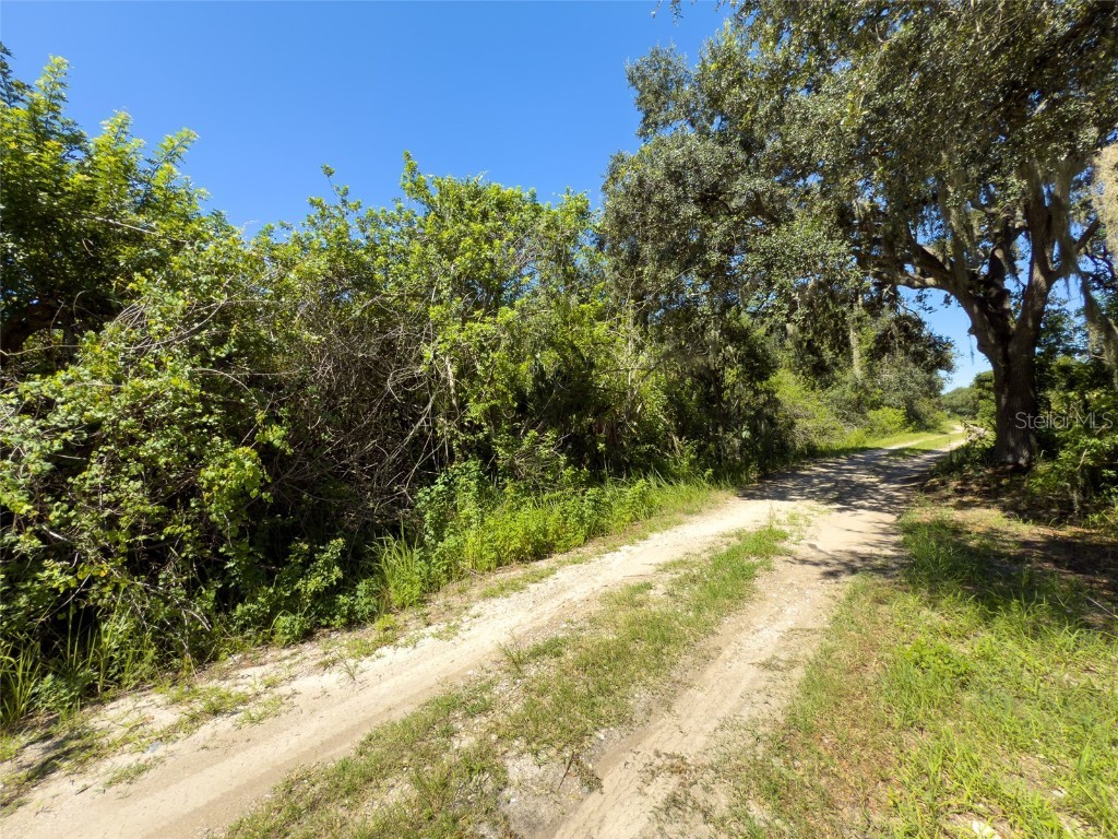 12020 Bullfrog Creek Road Gibsonton FL 33534 TB8410883 image7