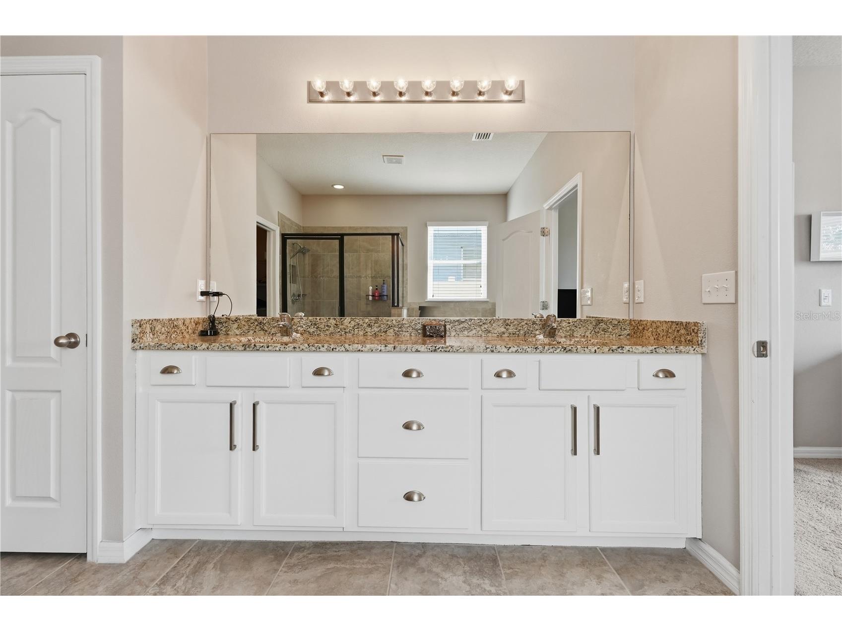 12020 Legacy Bright Street Riverview FL 33578 TB8481402 image34