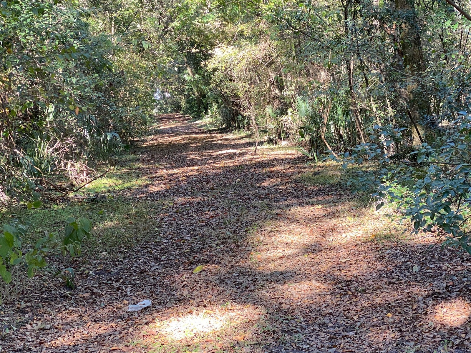12020 N Us Highway 441 Ocala FL 34475 OM718430 image26
