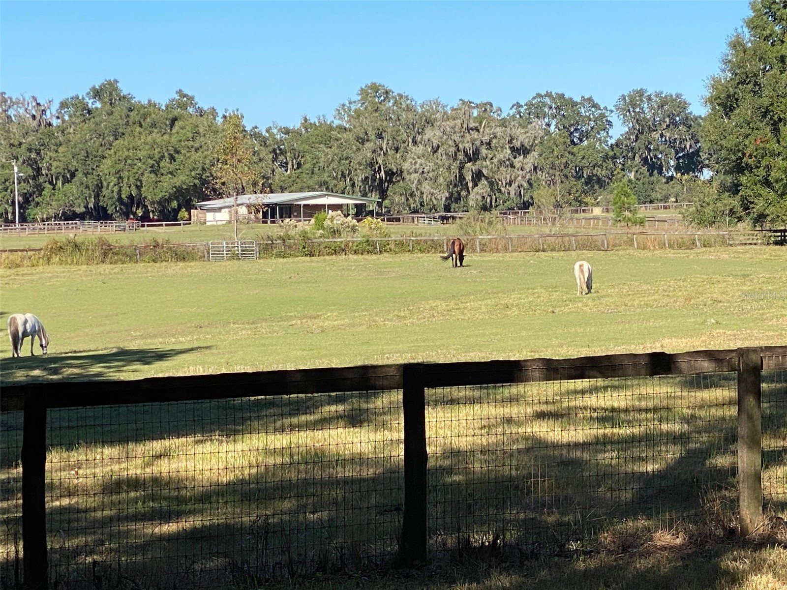 12020 N Us Highway 441 Ocala FL 34475 OM718430 image38