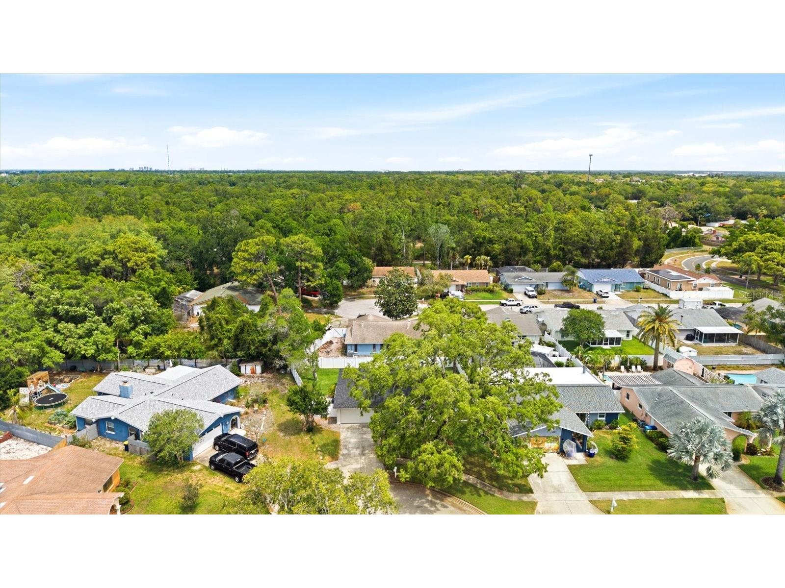 12021 107th Court Largo FL 33778 TB8501561 image36