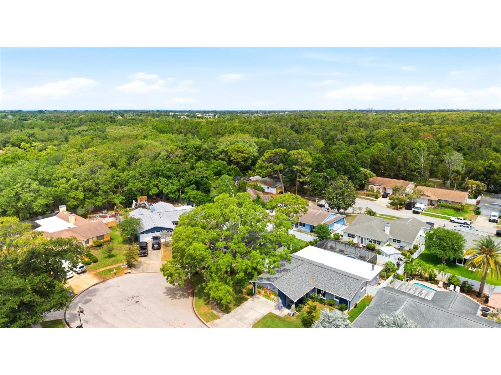 12021 107th Court Largo FL 33778 TB8501561 image38