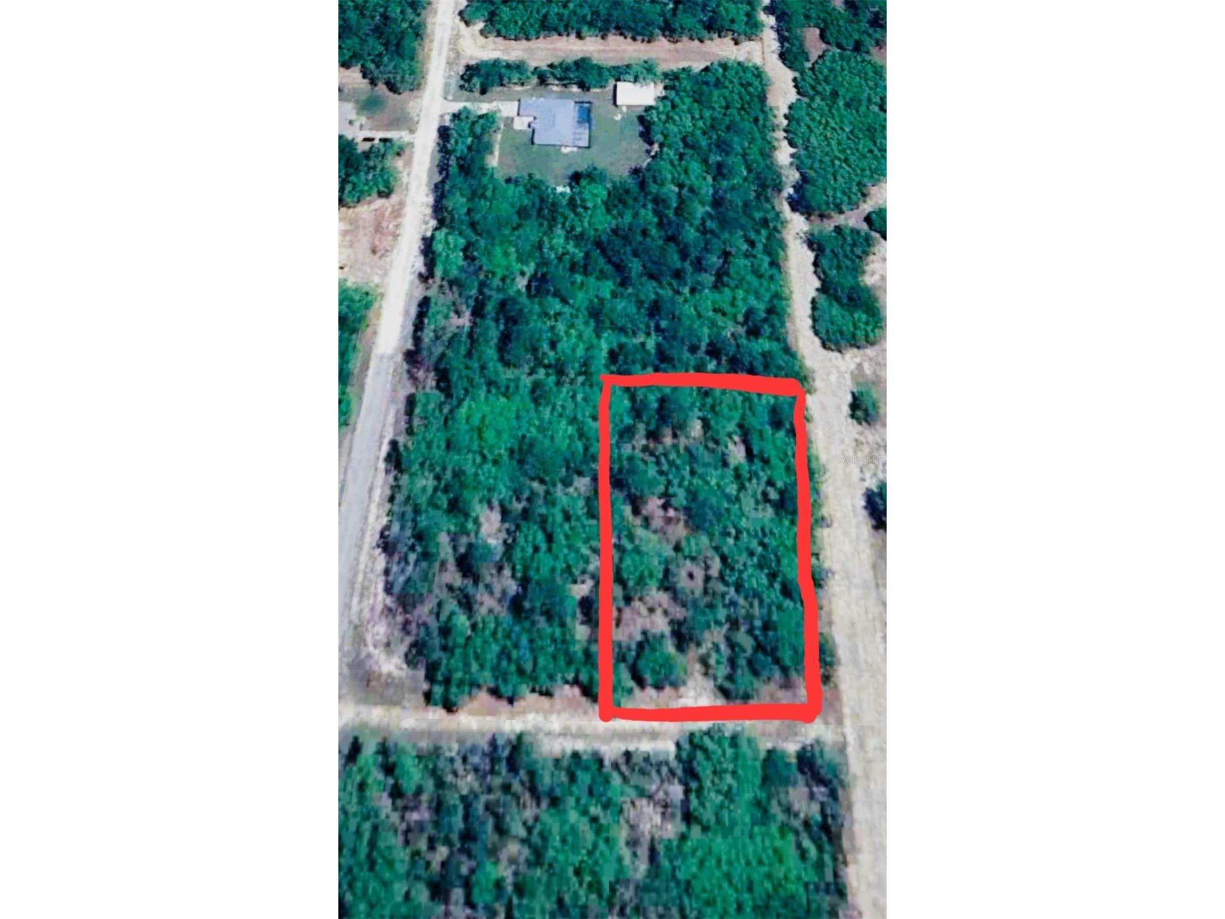 12021 SW 85th Place Dunnellon FL 34432 O6378149 image1