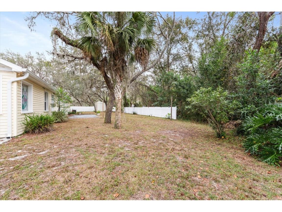 12022 Bethwood Avenue New Port Richey FL 34654 TB8455763 image34