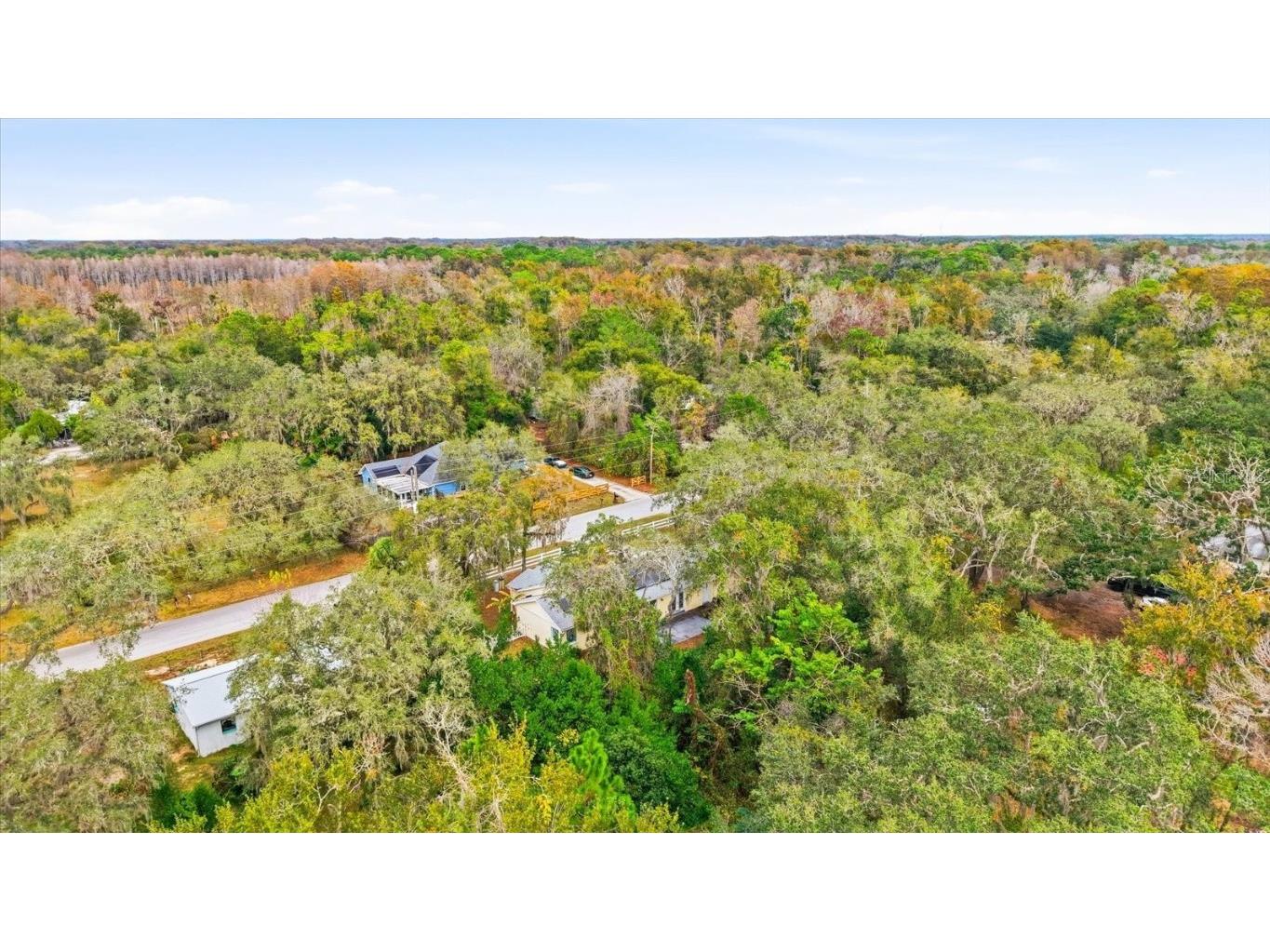 12022 Bethwood Avenue New Port Richey FL 34654 TB8455763 image38