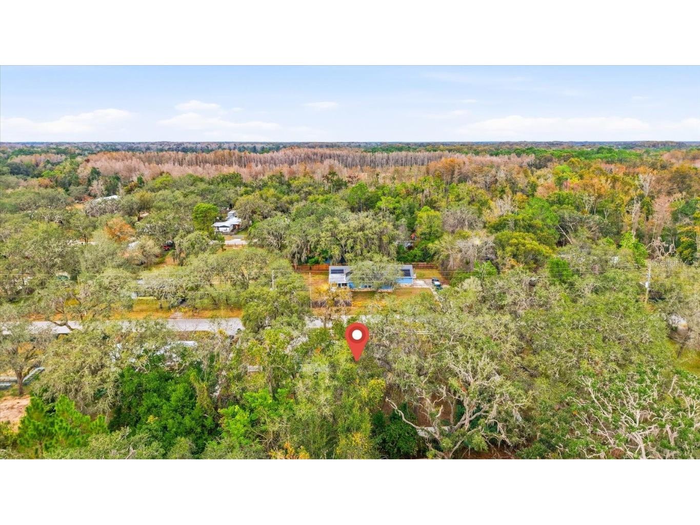 12022 Bethwood Avenue New Port Richey FL 34654 TB8455763 image39