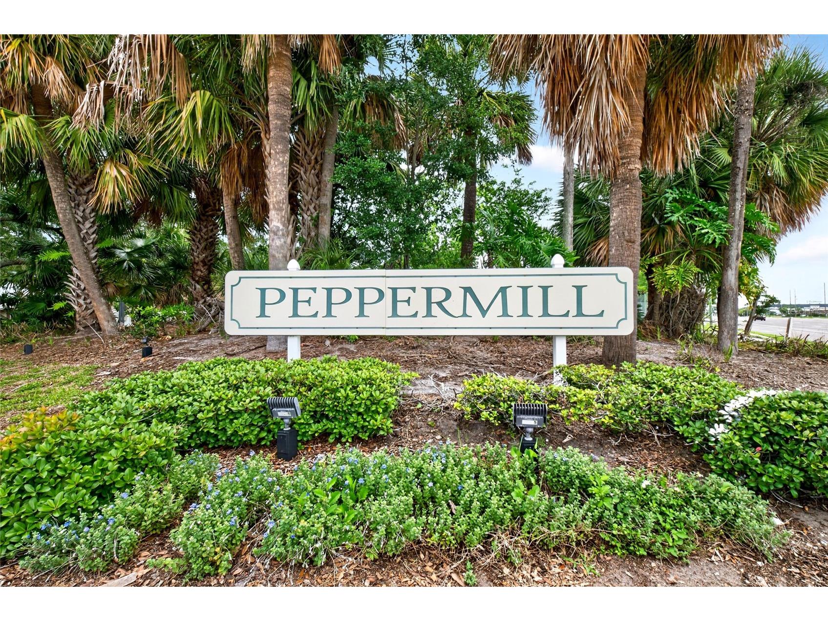 12022 Picalilli Street Orlando FL 32837 O6412923 image40