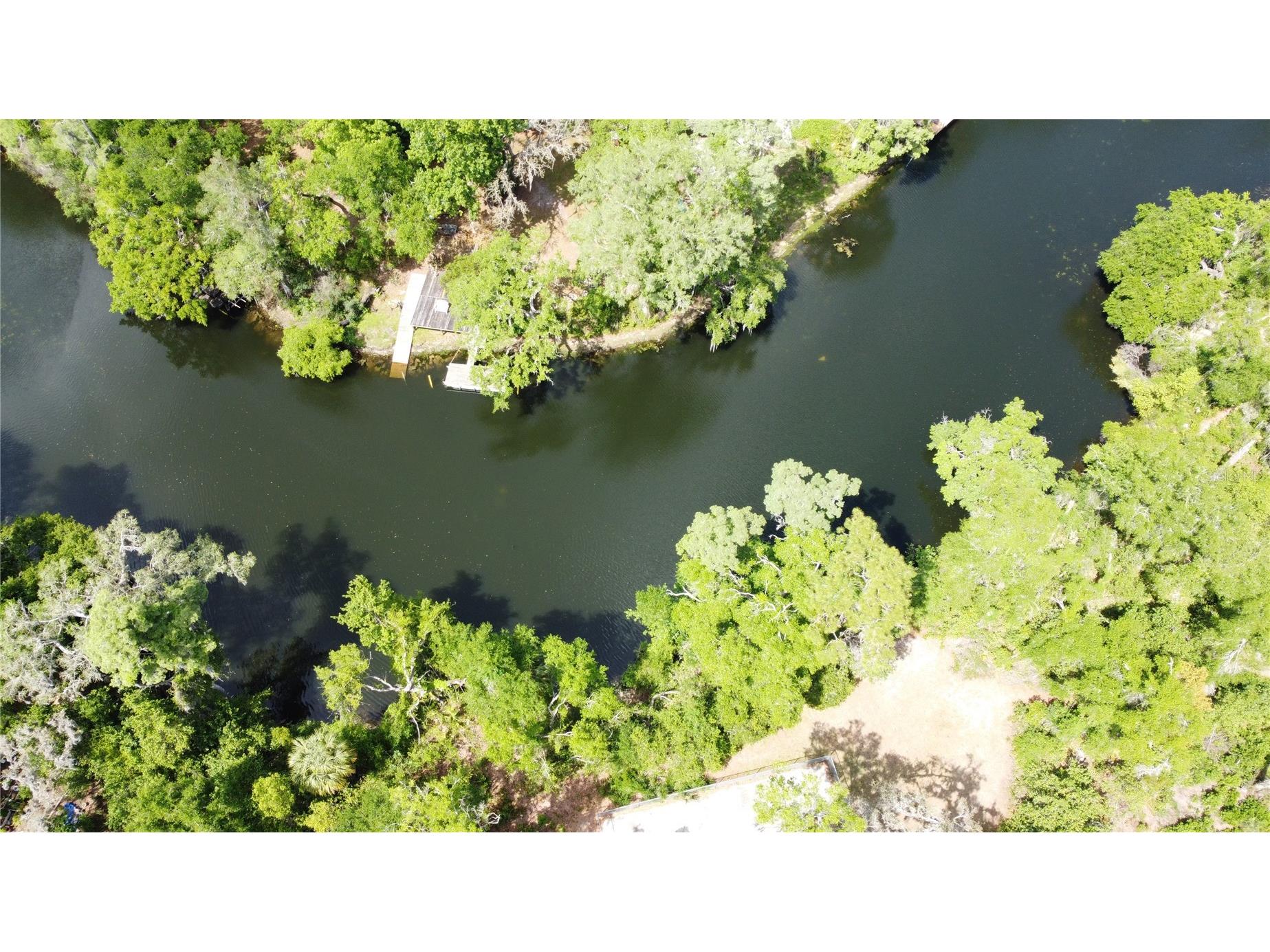 12022 Riverhills Drive Tampa FL 33617 TB8492384 image2