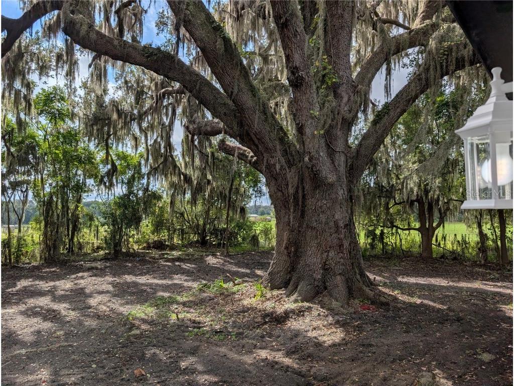 12022 SE Sunset Harbor Road Weirsdale FL 32195 R4910092 image17