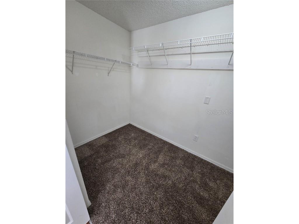 12023 Cedarfield Drive Riverview FL 33579 TB8454276 image10