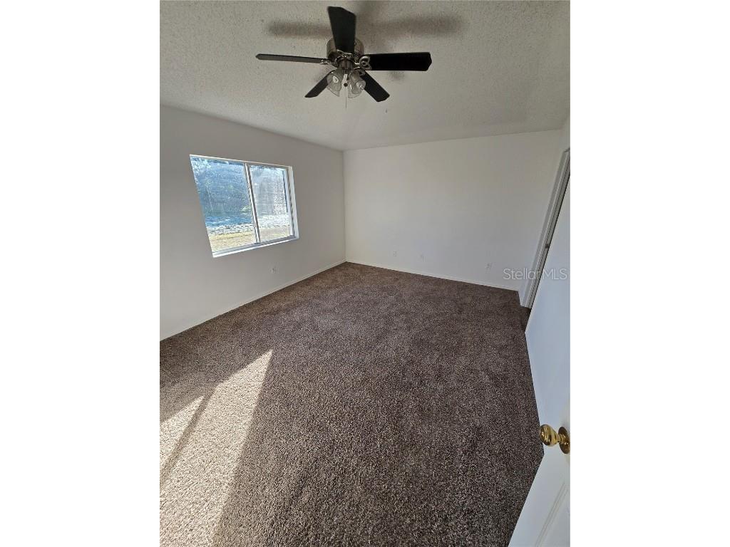 12023 Cedarfield Drive Riverview FL 33579 TB8454276 image8