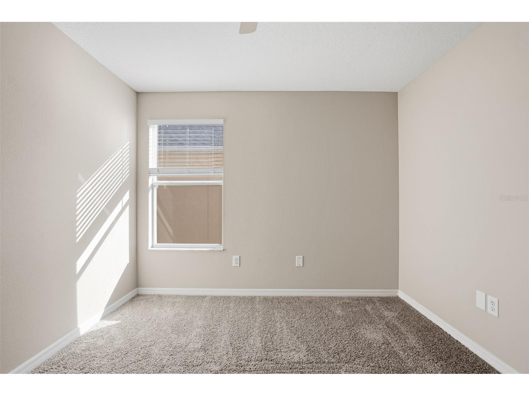 12024 Streambed Drive Riverview FL 33579 O6376784 image32