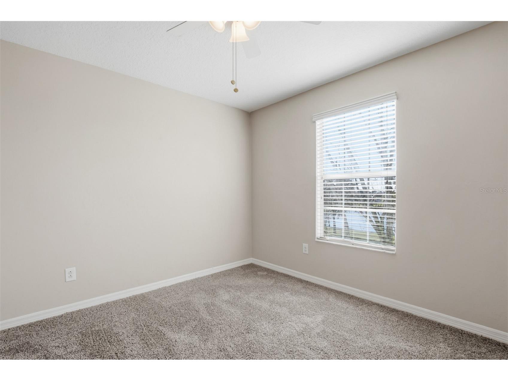 12024 Streambed Drive Riverview FL 33579 O6376784 image34