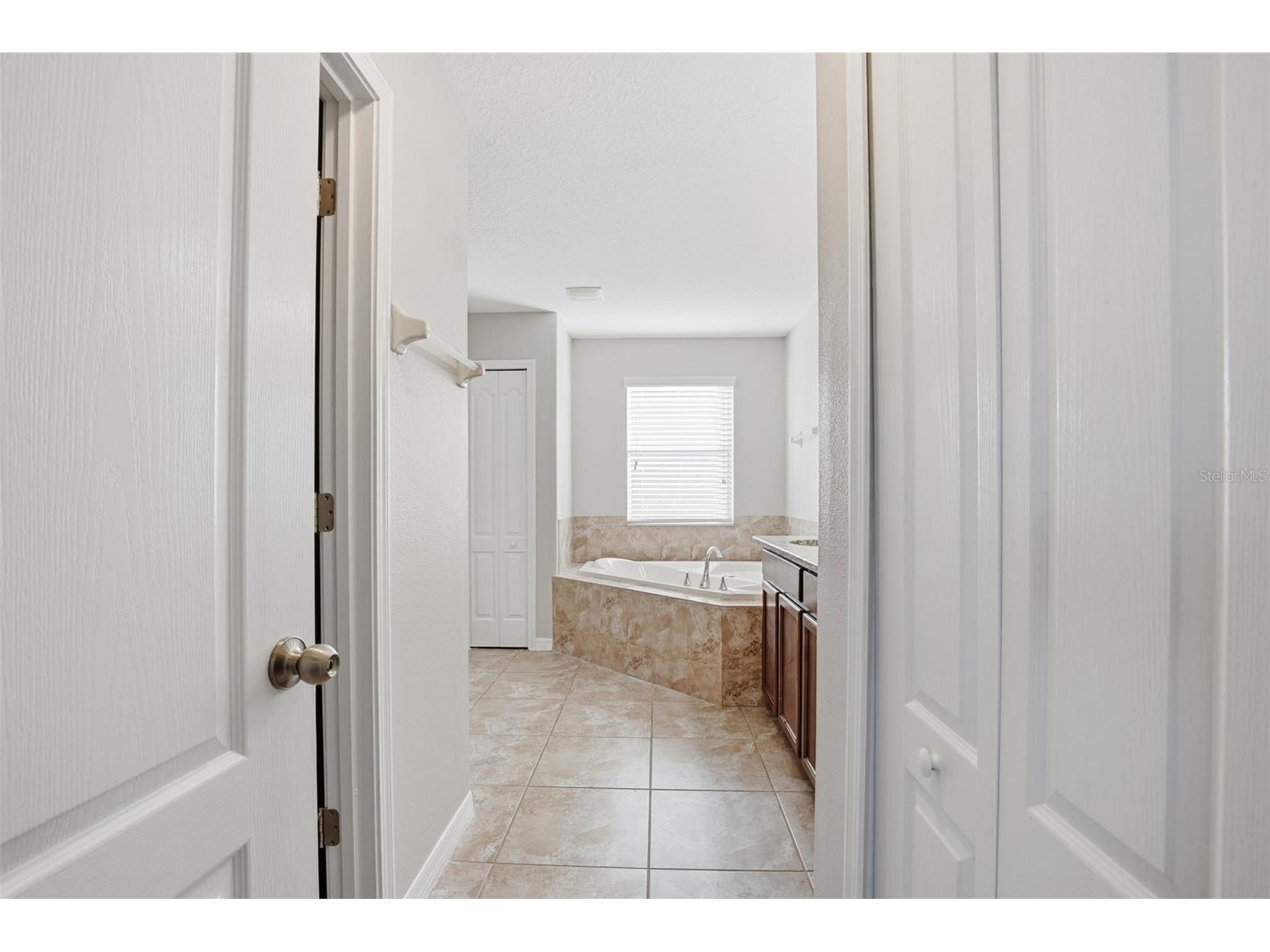 12024 Streambed Drive Riverview FL 33579 O6376784 image42