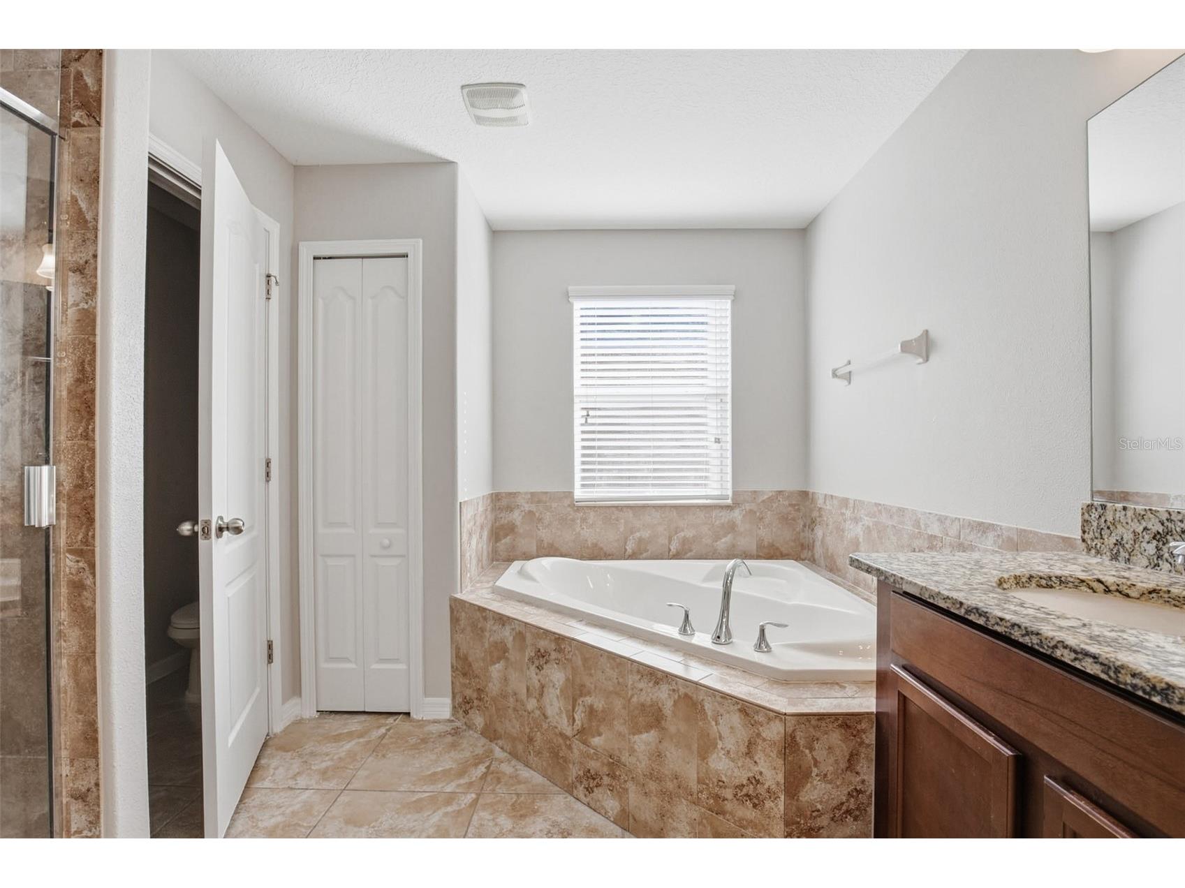 12024 Streambed Drive Riverview FL 33579 O6376784 image43