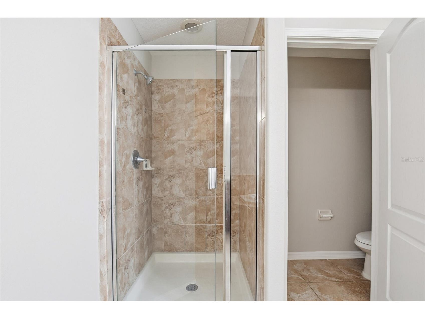 12024 Streambed Drive Riverview FL 33579 O6376784 image44