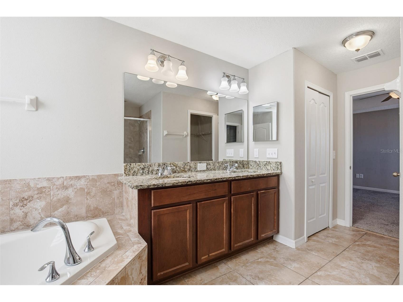 12024 Streambed Drive Riverview FL 33579 O6376784 image45
