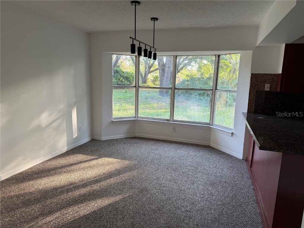 12025 Lake Butler Boulevard Windermere FL 34786 S5123676 image9