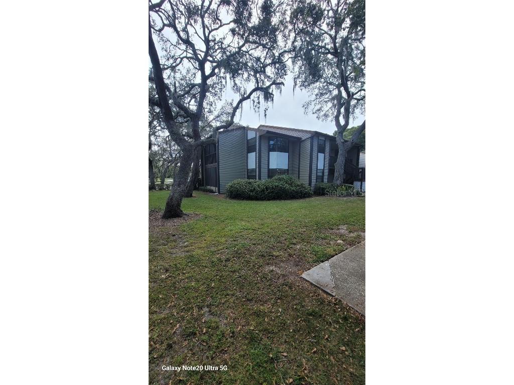 12025 Proctor Loop #1 New Port Richey FL 34654 TB8430334 image1