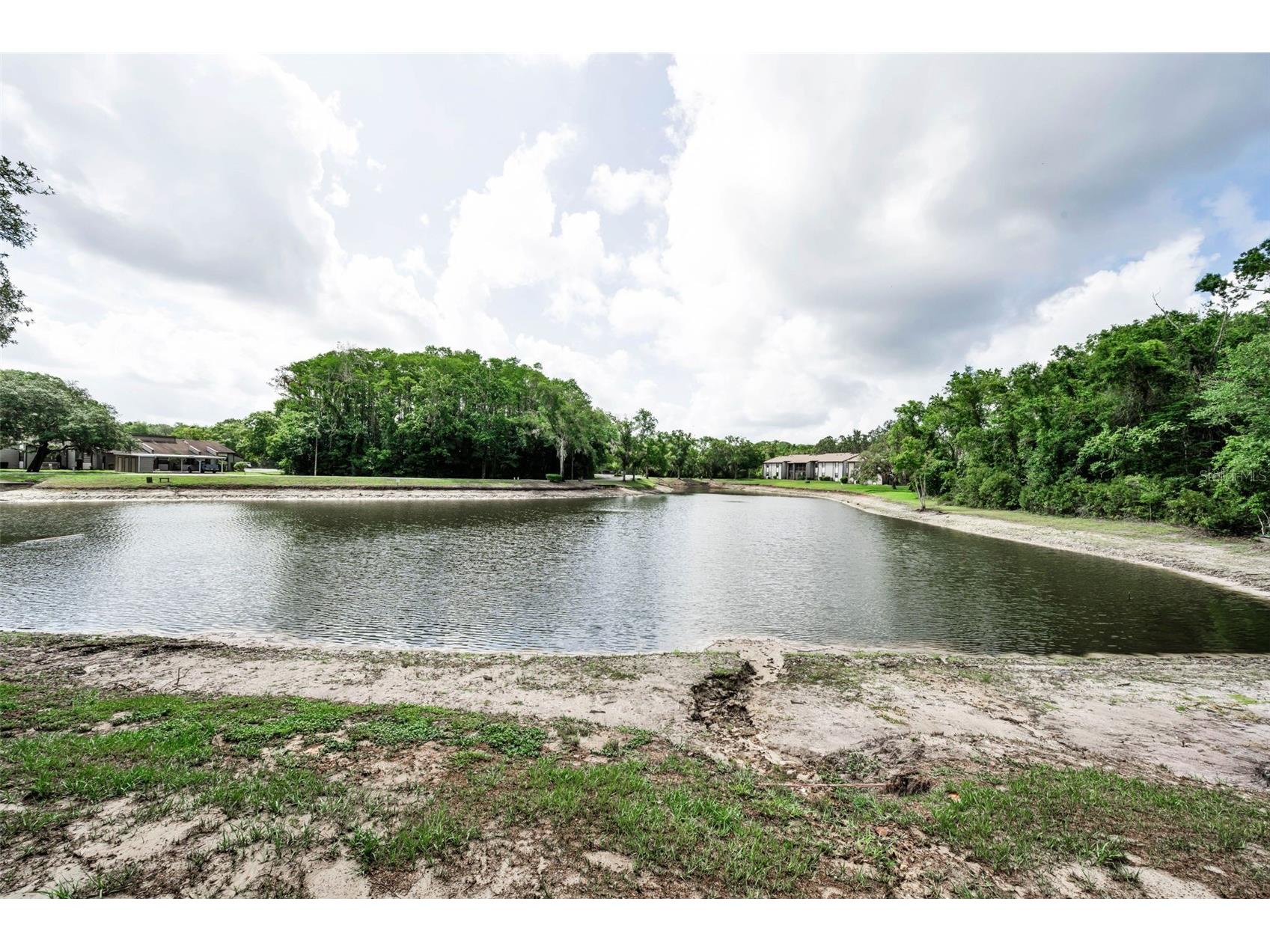 12025 Proctor Loop #3 New Port Richey FL 34654 TB8516101 image22