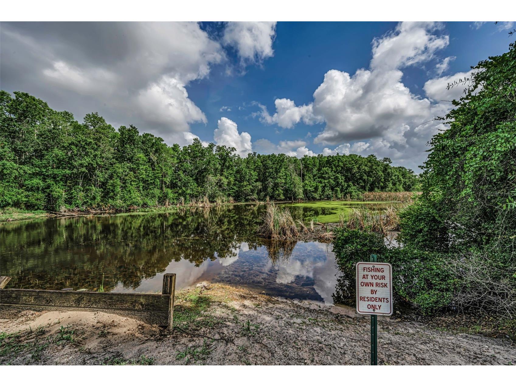 12025 Proctor Loop #3 New Port Richey FL 34654 TB8516101 image25