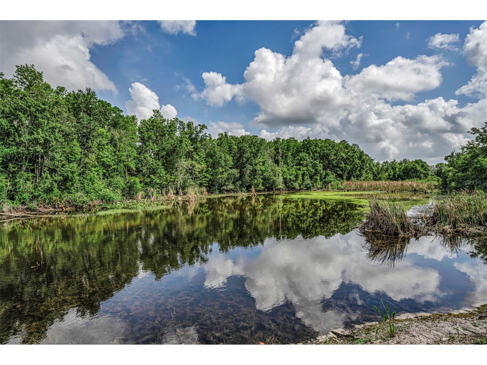 12025 Proctor Loop #3 New Port Richey FL 34654 TB8516101 image26