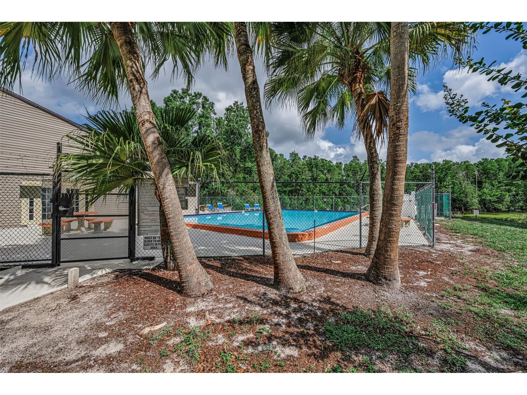 12025 Proctor Loop #3 New Port Richey FL 34654 TB8516101 image27