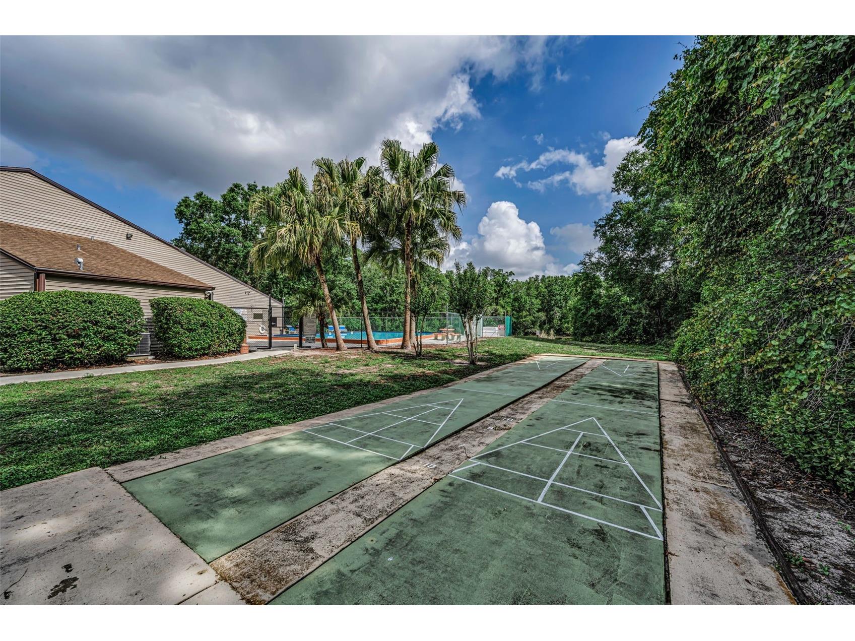 12025 Proctor Loop #3 New Port Richey FL 34654 TB8516101 image29