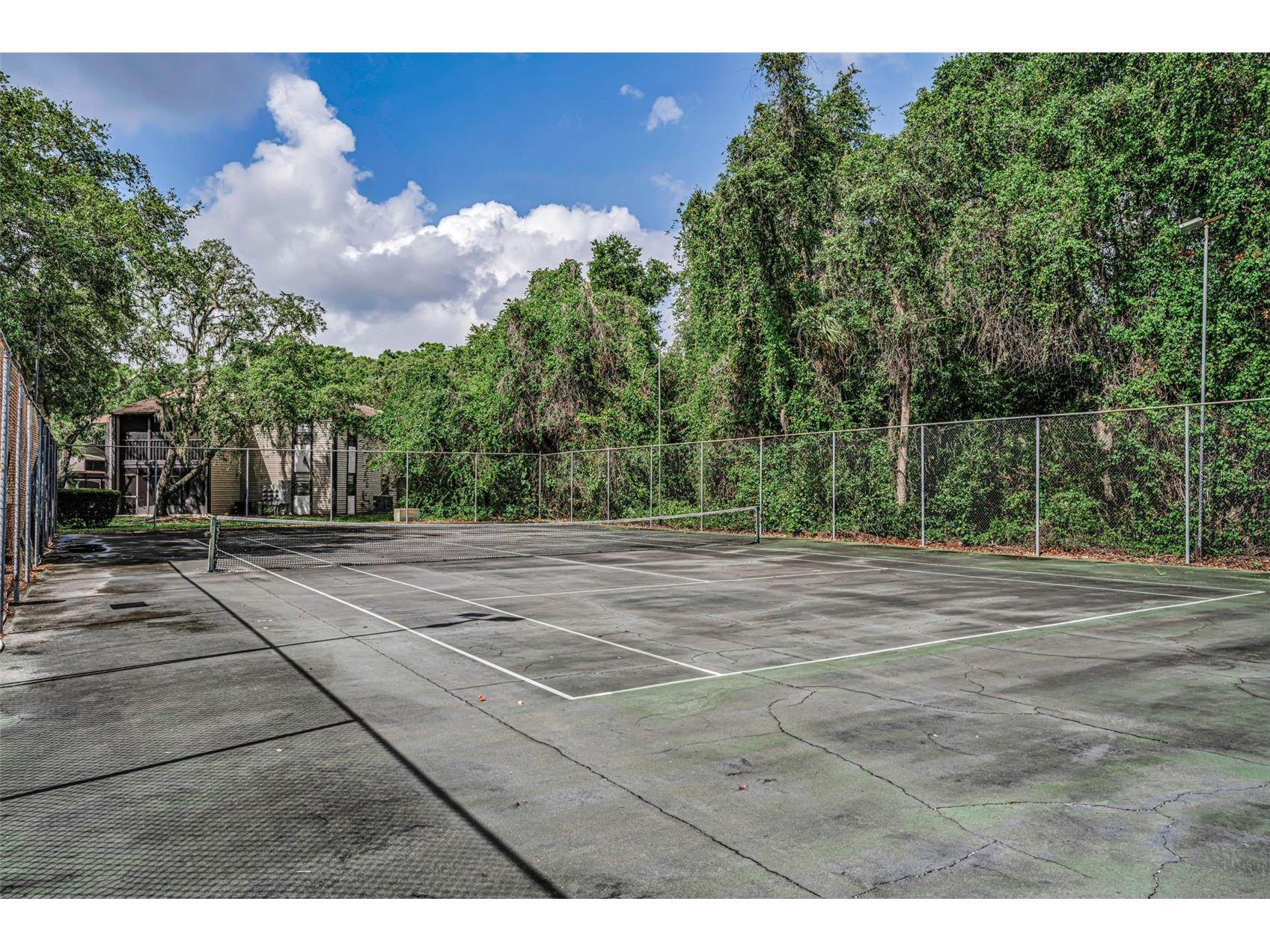 12025 Proctor Loop #3 New Port Richey FL 34654 TB8516101 image30