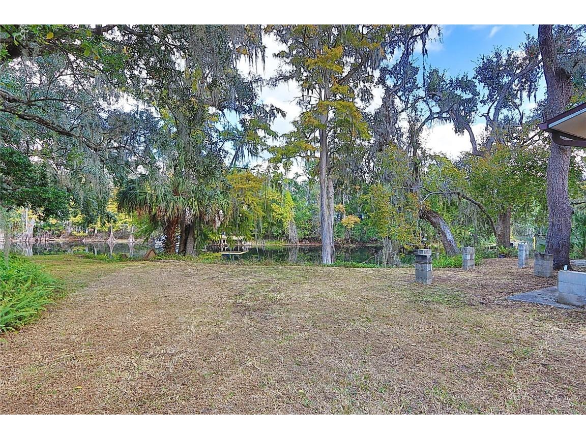 12025 Riverhills Drive Temple Terrace FL 33617 - HILLSBOROUGH RIVER TB8409829 image13