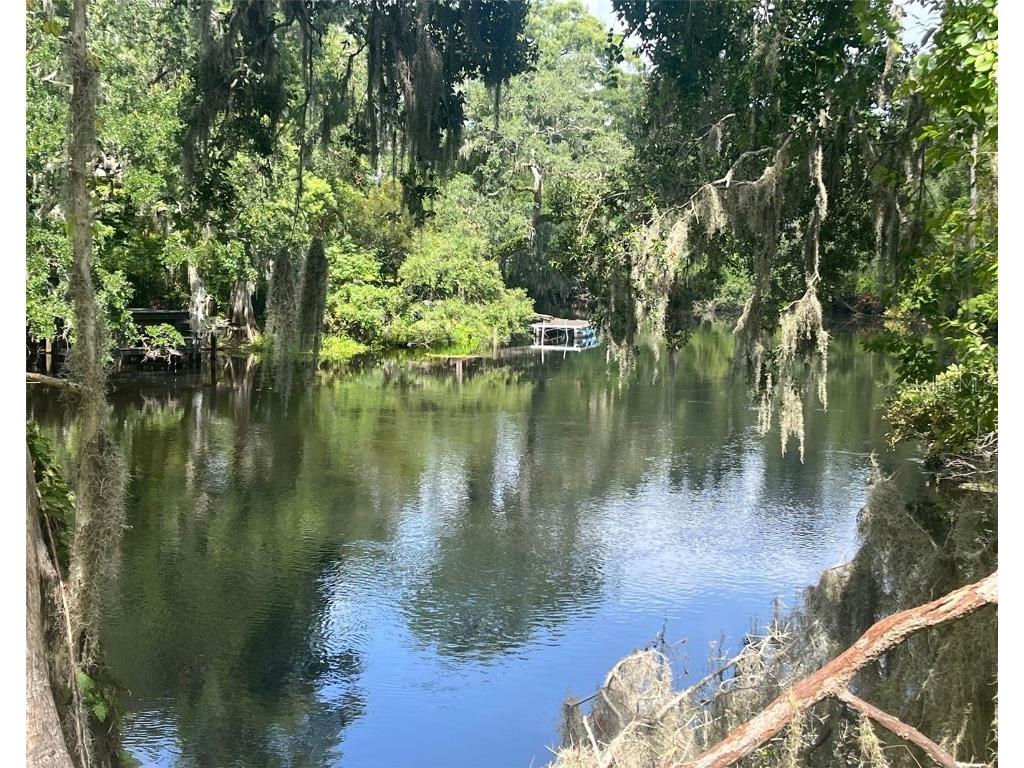 12025 Riverhills Drive Temple Terrace FL 33617 - HILLSBOROUGH RIVER TB8409829 image14