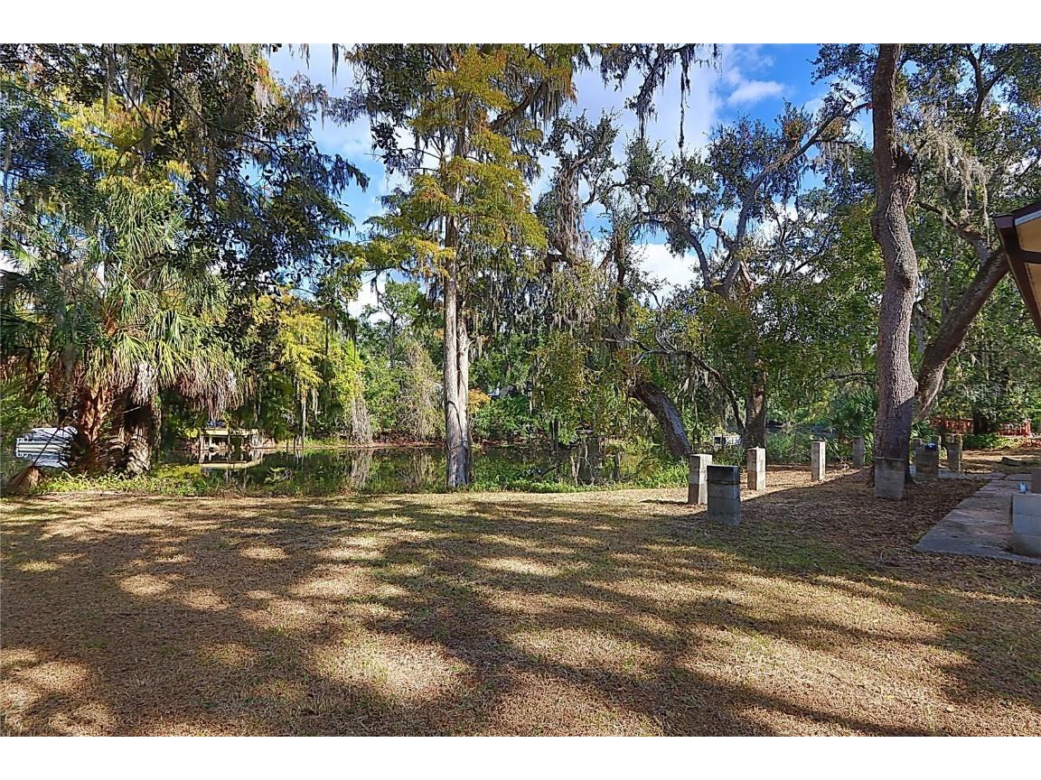 12025 Riverhills Drive Temple Terrace FL 33617 - HILLSBOROUGH RIVER TB8409829 image3