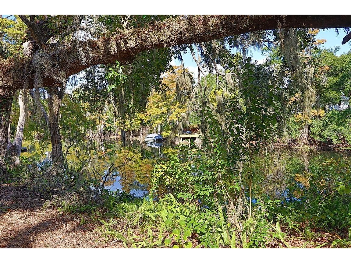 12025 Riverhills Drive Temple Terrace FL 33617 - HILLSBOROUGH RIVER TB8409829 image30