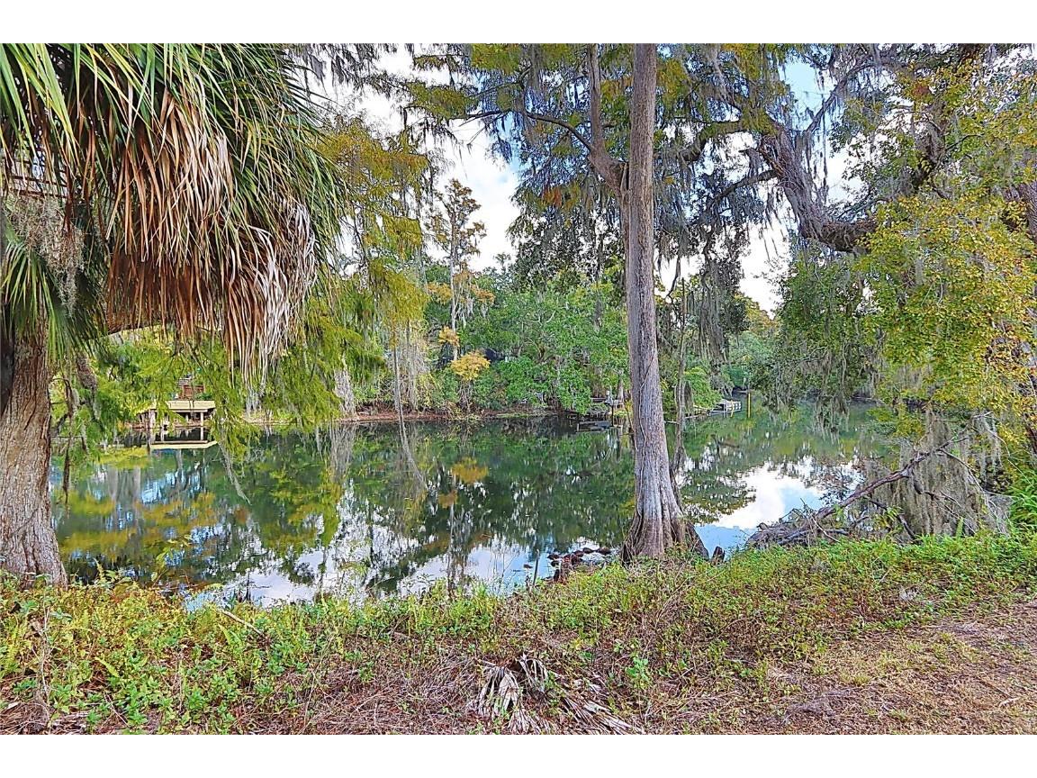 12025 Riverhills Drive Temple Terrace FL 33617 - HILLSBOROUGH RIVER TB8409829 image6