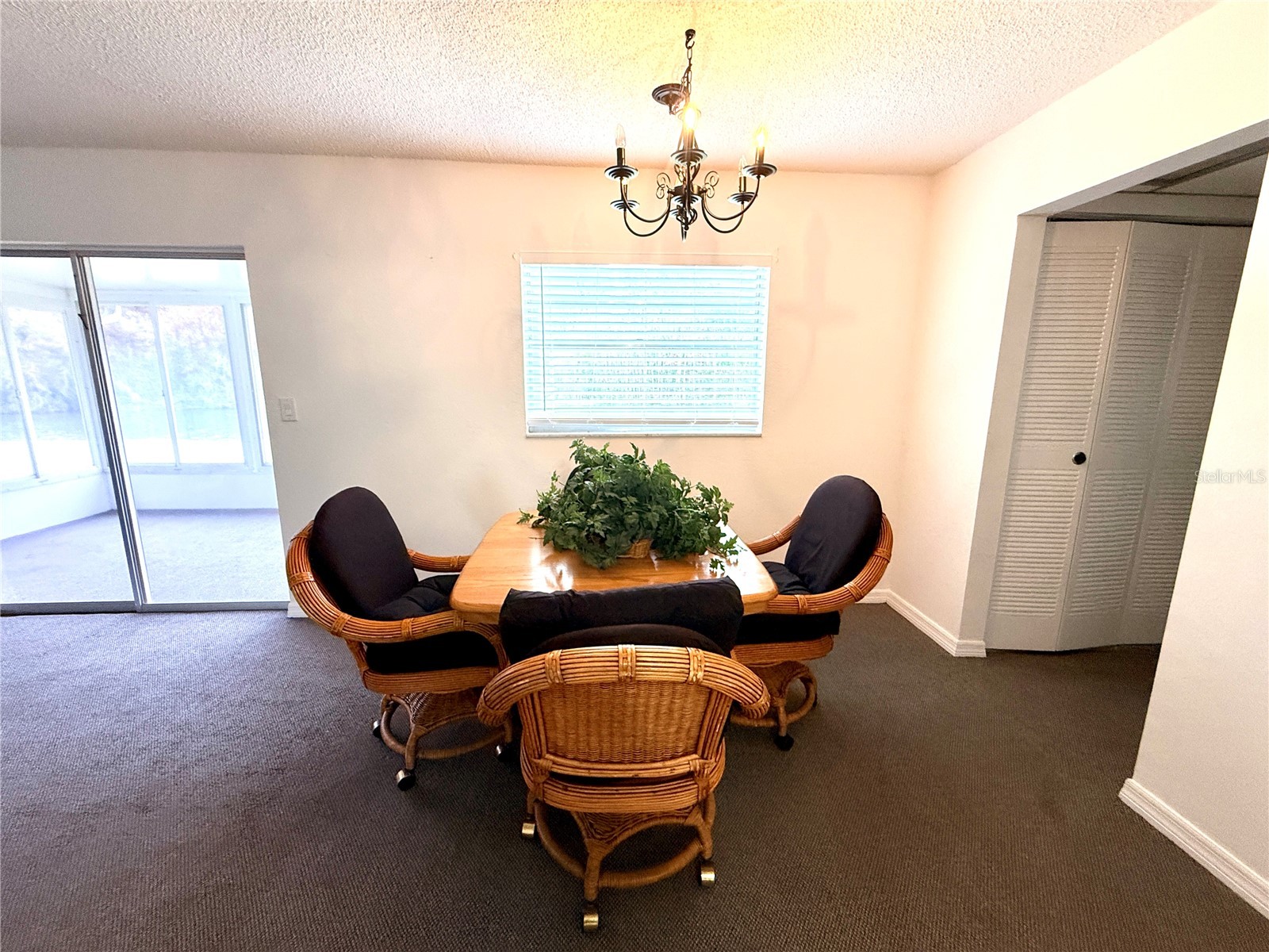 12026 Boynton Lane New Port Richey FL 34654 W7881195 image11