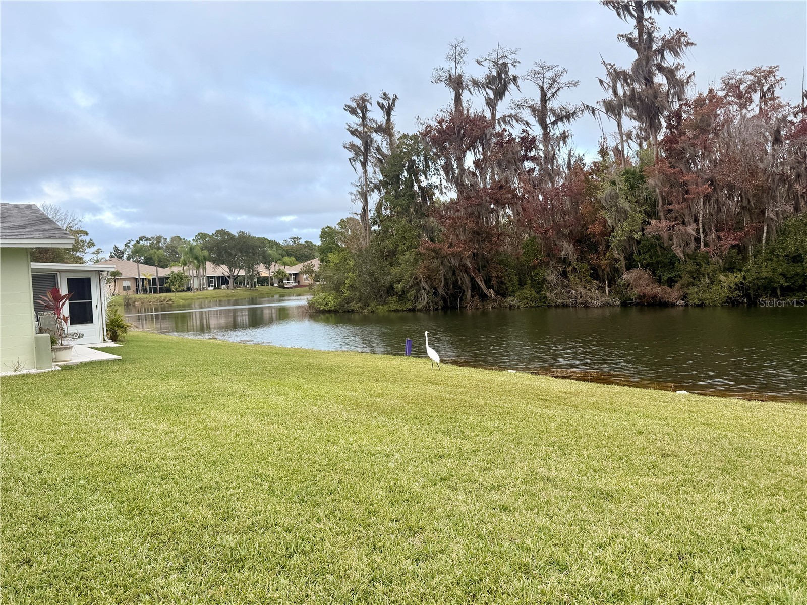 12026 Boynton Lane New Port Richey FL 34654 W7881195 image22