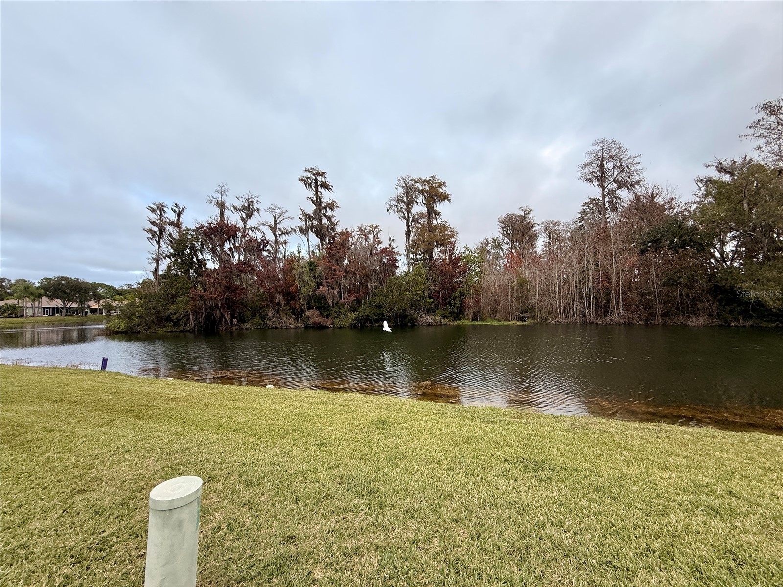 12026 Boynton Lane New Port Richey FL 34654 W7881195 image3