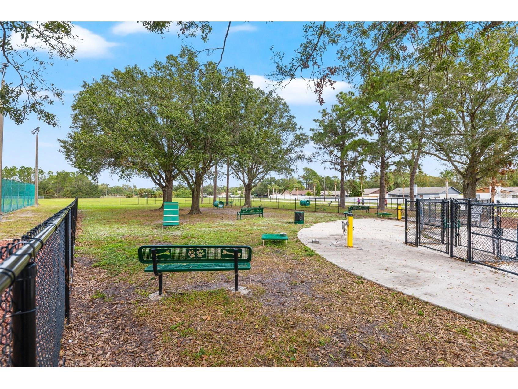 12026 Cedarfield Drive Riverview FL 33579 TB8459832 image25