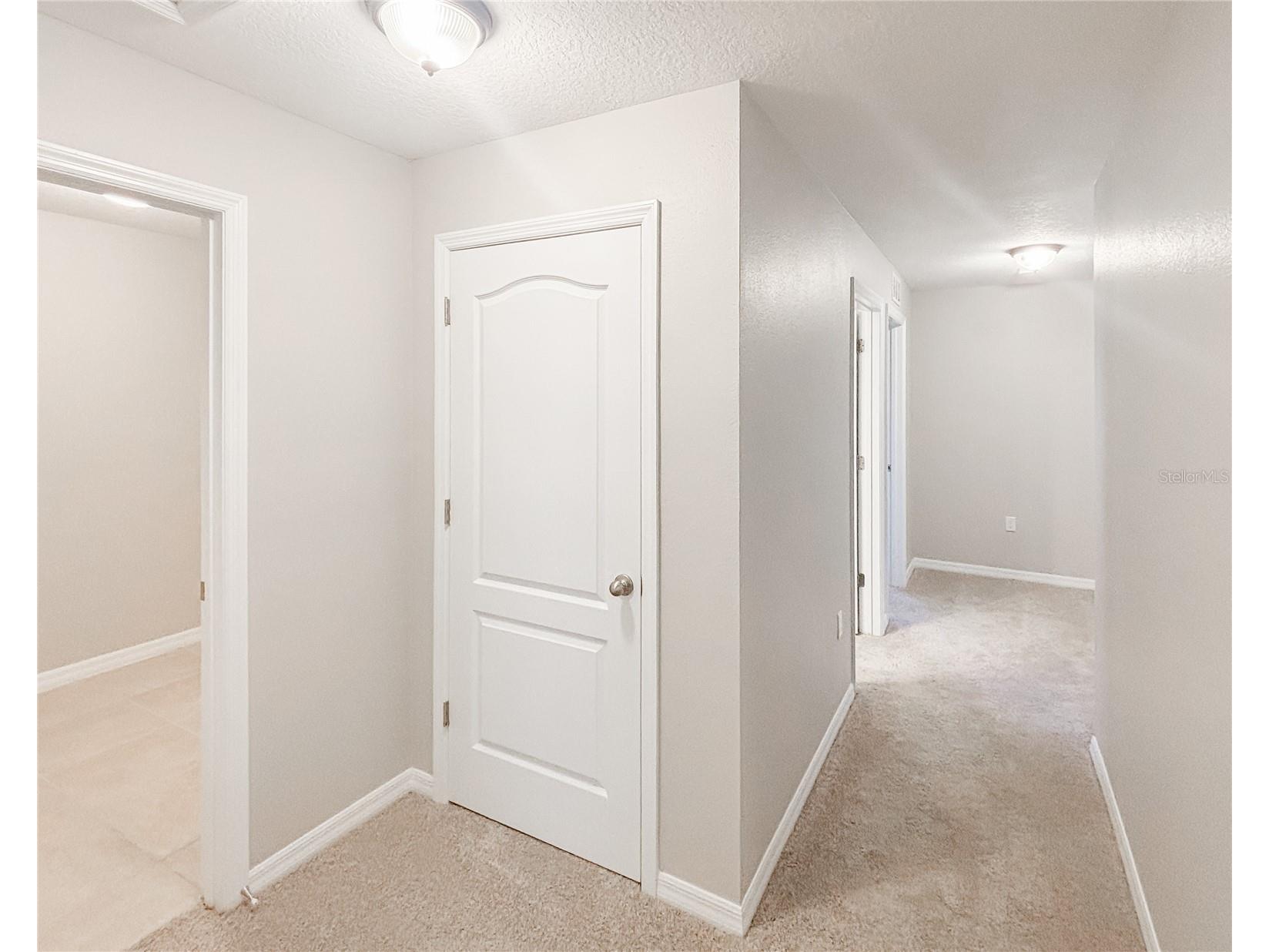 12026 Suburban Sunrise Street Riverview FL 33578 TB8490832 image20