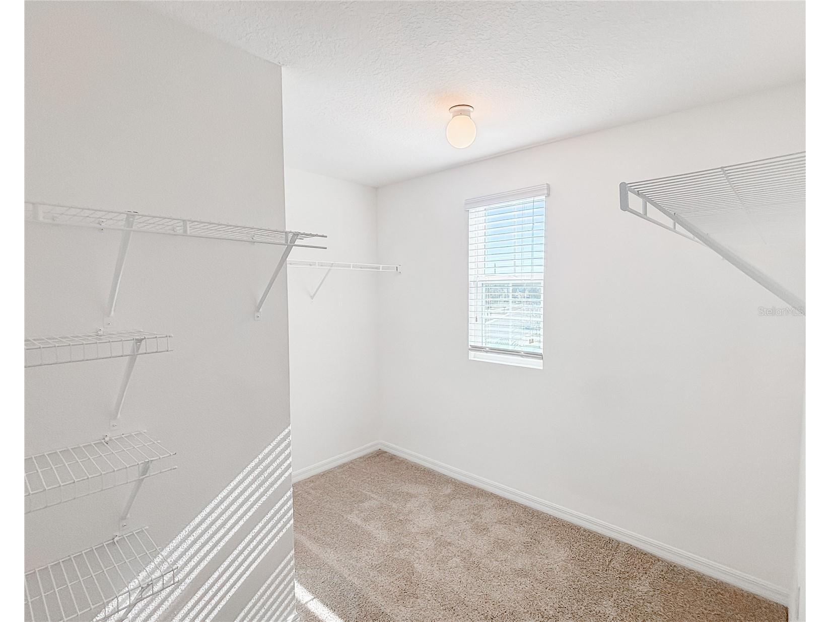 12026 Suburban Sunrise Street Riverview FL 33578 TB8490832 image24