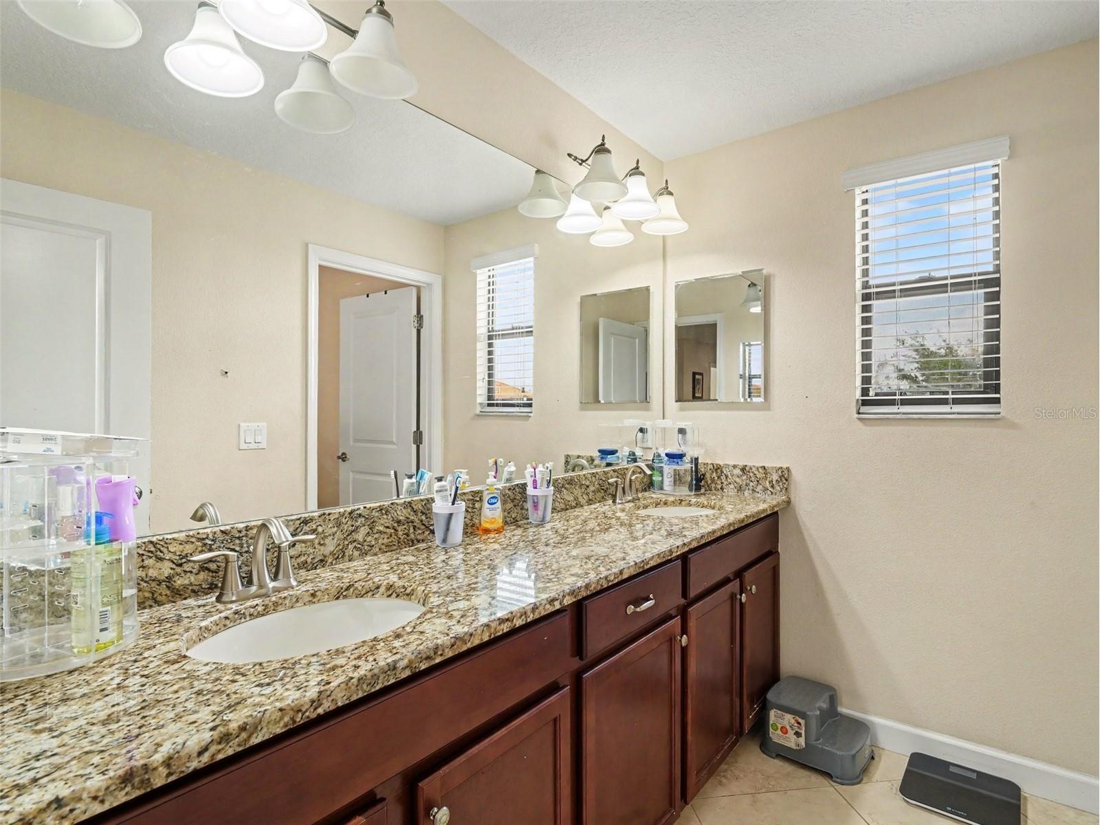 12027 Cardinal Flower Dr Riverview FL 33579 TB8507965 image21