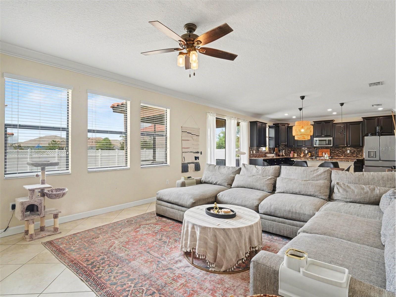 12027 Cardinal Flower Dr Riverview FL 33579 TB8507965 image7