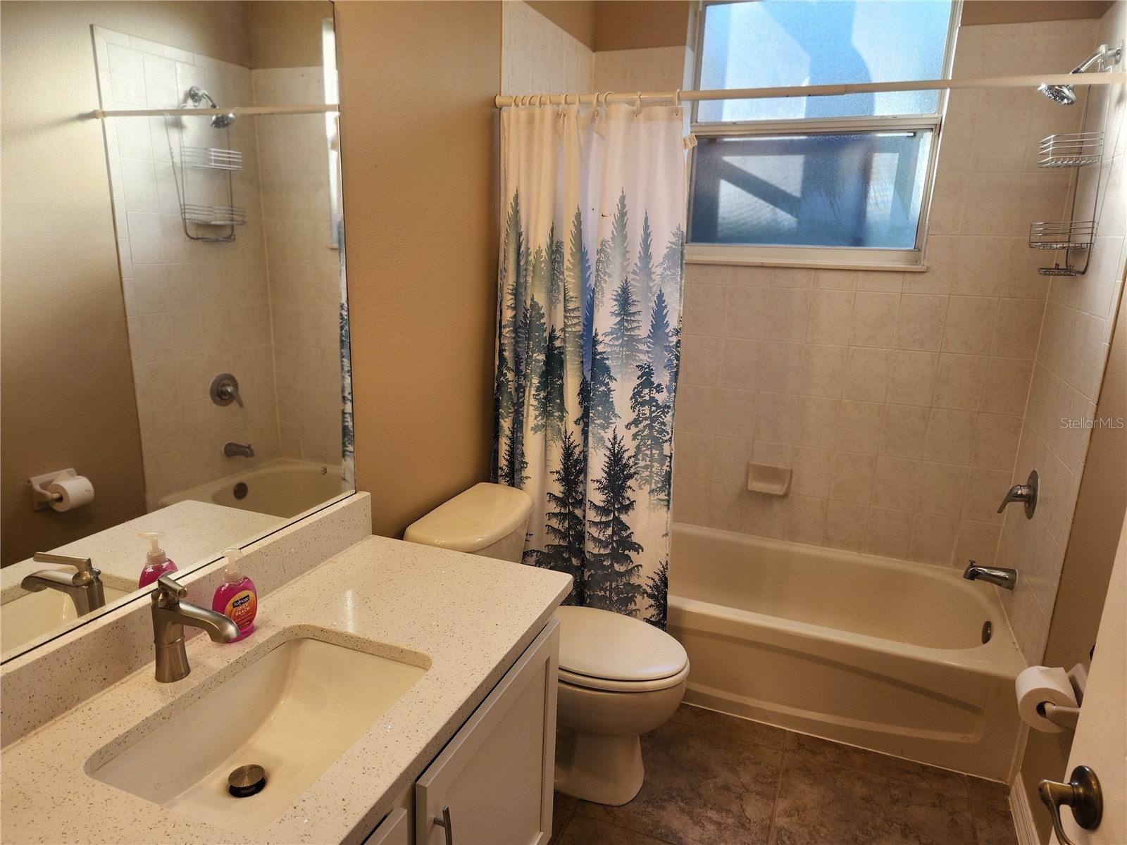 12027 Still Meadow Drive Clermont FL 34711 O6375861 image29